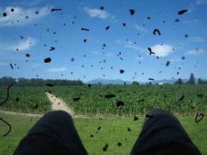 飞蚊症_眼底病科_西安华厦眼科医院